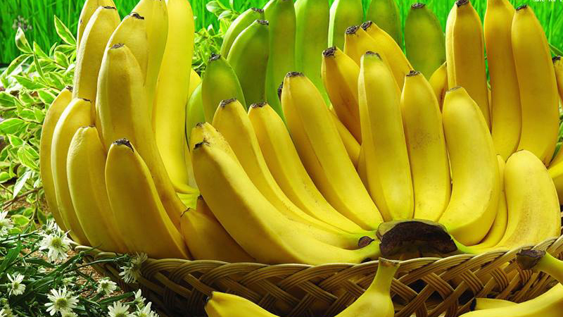 Vietnamese export Cavendish banana