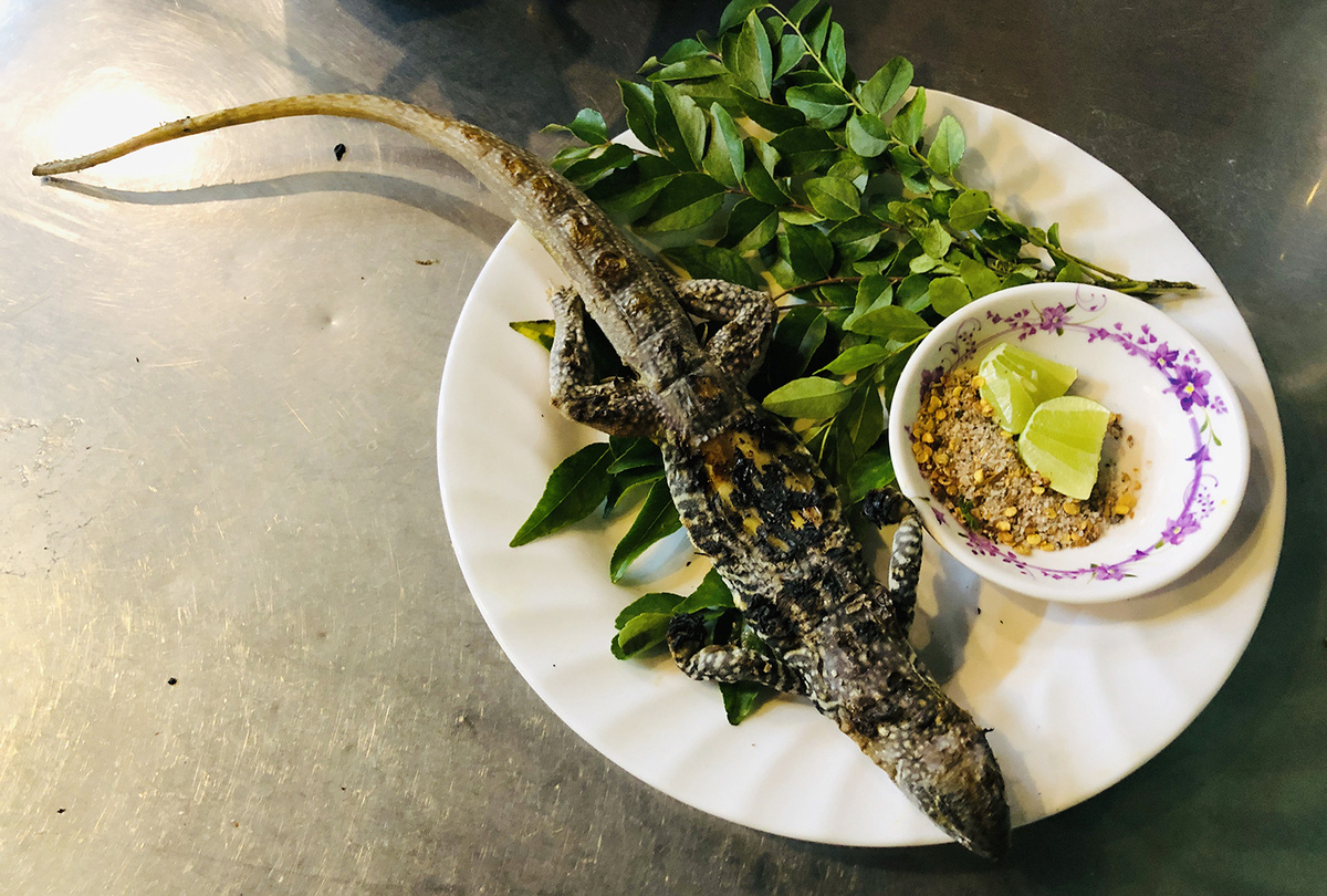 Grilled butterfly lizard with curry leaves